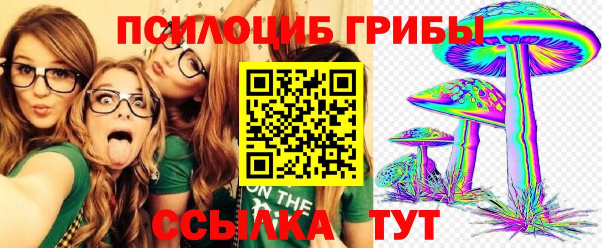Галлюциногенные грибы GOLDEN TEACHER  Вход с VPN  Тосно 